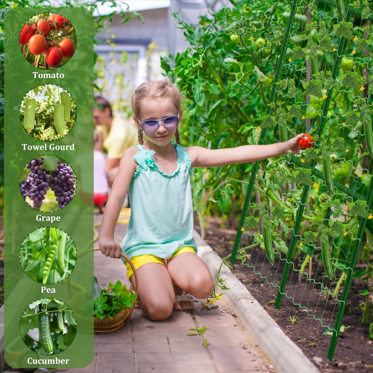 2 Packs Cucumber Trellis for Raised Beds, 31 X 47 Inch Adjustable Size A-Frame Garden Trellis for Climbing Plant Outdoors with Climbing Net and Plant Support Clip for Vegetable Grape Garden Supplies