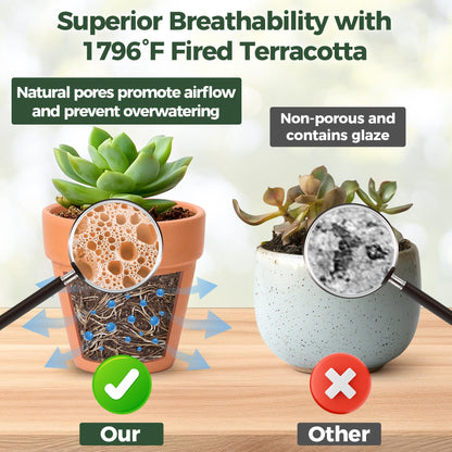 T4U Mini Terracotta Pots (36pcs): 2 Inch Small Clay Pots with Drainage Holes, Ideal for Succulent Cactus Plants, DIY Crafts, Home Decor