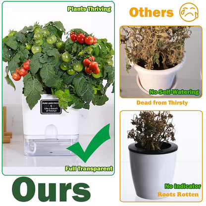 Planterhoma Self Watering Plant Pots for Indoor Plants 4.3 inch, 6 Packs Square Self-Watering Planters with Drainage Hole, White African Violet Pots for Devil's Ivy, Spider Plant, Orchid, Herb