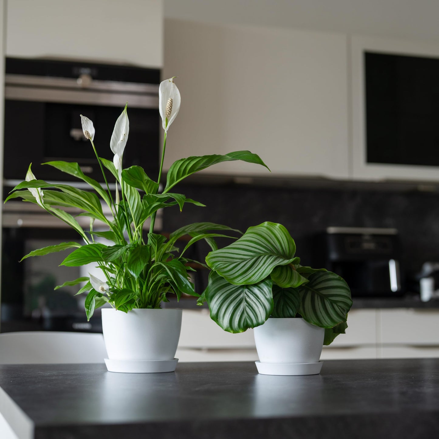 Kin 'n' Kind Set of 2 Minimalist Plant Pots (6.5" & 5.5") – Modern Indoor Planters with Drainage & Saucers & Plugs – Durable Eco-Conscious Composite, Indoor/Outdoor - Ventura Mist White