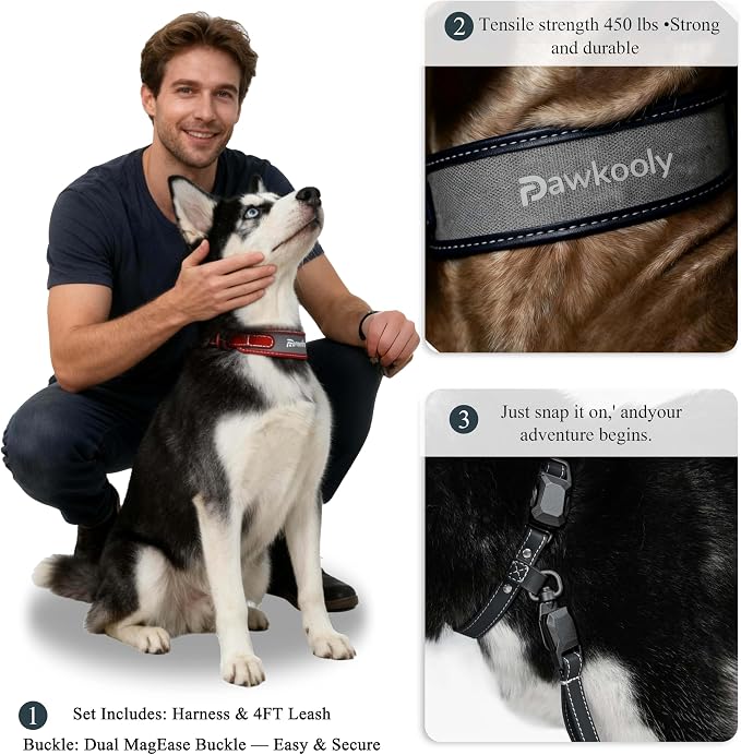 MagEase Dog Collar with 4FT Leash | Adjustable | Anti-Wrinkle, Bite & Stain-Resistant Leather | Soft & Skin-Friendly | 450LB Escape-Proof Magnetic Buckle (Navy Blue, Large)