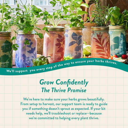 Modern Sprout Mason Garden Jar - Self-Watering Hydroponics Growing System Kit with Organic Herb Seeds - Jar Planter for Indoor Herb Garden - Seed Starter Kit - Home Decor & Gifting - Basil