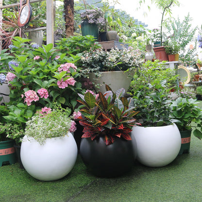 Panlaolao 13.5 H x 17" Dia (12" Pot Opening) Round Fiberstone Planter with Drainage Hole, Black, Indoor/Outdoor Large Plant Pot for Home Patio Garden, Ideal for Large Plants
