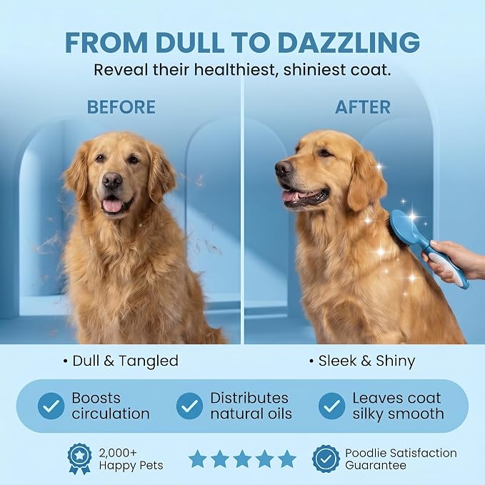 Round Bristle Pet Brush for Dogs and Cats - Soft Dog Brush for Grooming Short or Long Hair - Gentle Tool for Sensitive Skin Removes Dander, Dirt, and Detangles (Blue)