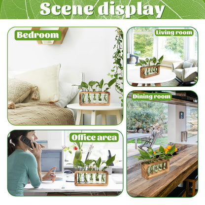 Glass Plant Propagation Station with 5 Test Tubes Colorful Planter Vase Birthday Gifts for Women in Wooden Stand