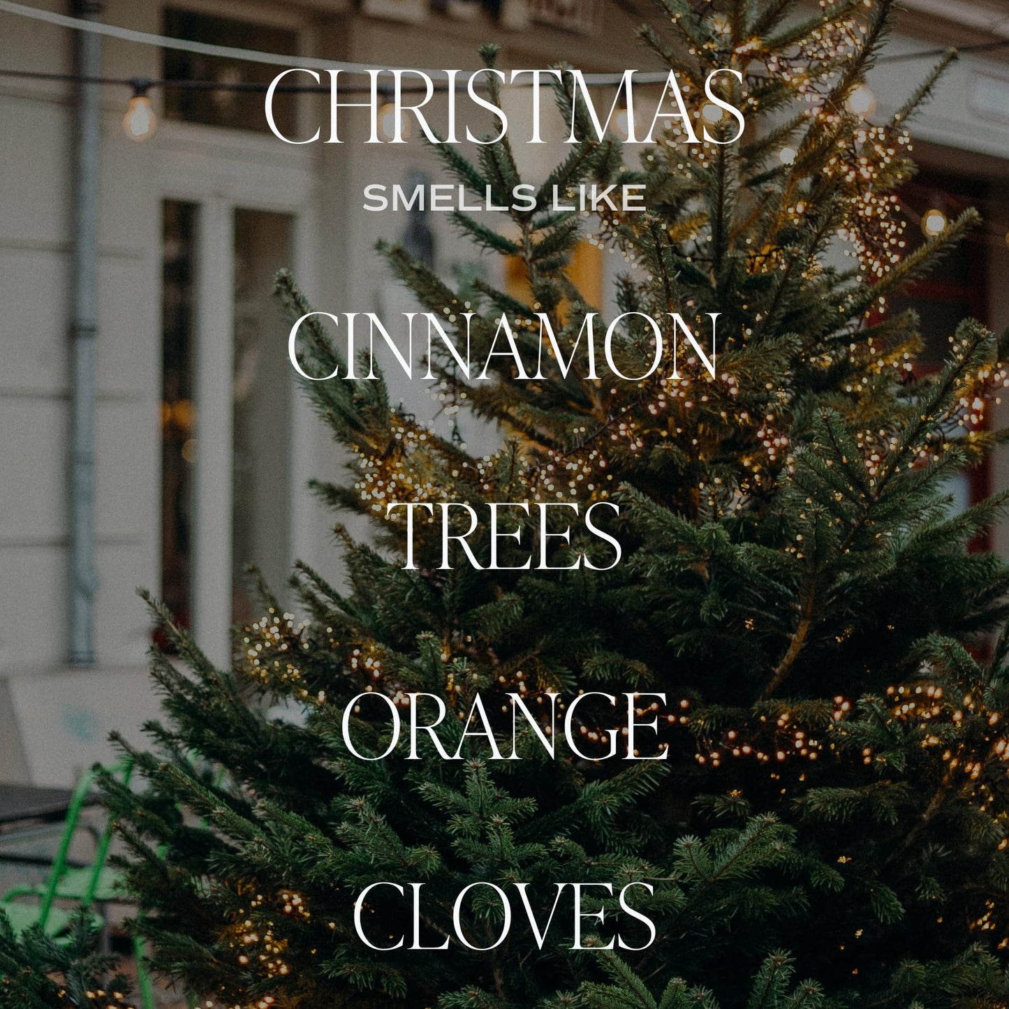 Sweet Water Decor Christmas Scented Candle - Cinnamon, Trees, Orange, and Clove Scented Winter Candle - Christmas Candles and Decor for Home - 9oz. Clear Jar Soy Candle, Made in the USA