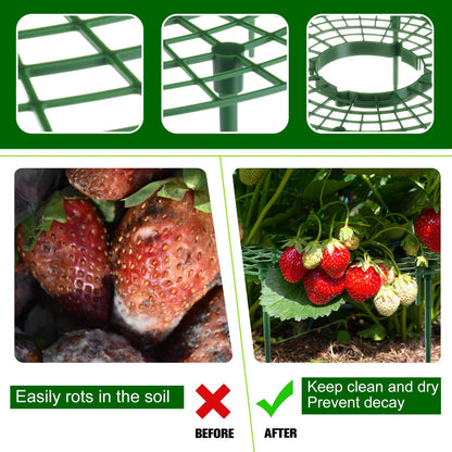 Irenare 24 Pack Strawberry Plant Support with Plant Labels Large Size Strawberry Growing Racks Growing Frame Stand Holder for Keeping Garden Strawberry Clean