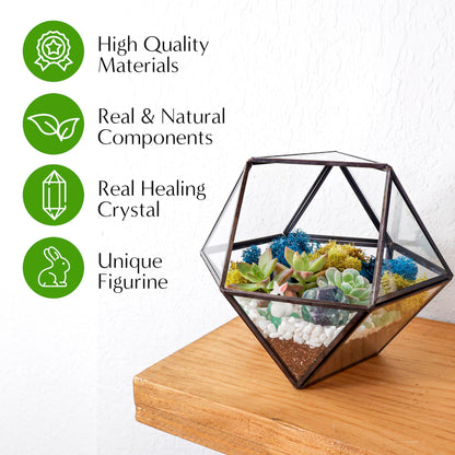 Creations by Nathalie DIY 7" Geometric Terrarium Kit - Build Your Own Glass Terrarium for Adults & Teens with Moss, Crystals, Tools & Decor - Handcrafted in the USA (Live Plant Included)
