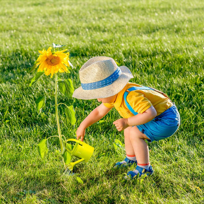 Healeved 5Pcs Iron Kids Watering Cans Chic Small Water Can Watering Bucket Kids Watering Tin Can for Garden Beach Water Bucket for Kids
