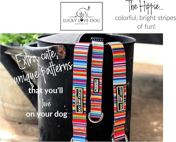 Lucky Love Dog Martingale Dog Collar - Adjustable, No-Slip, Durable, & Soft Webbing Collar for Male and Female Dogs Ideal for Training & Walking - Hippie, Large