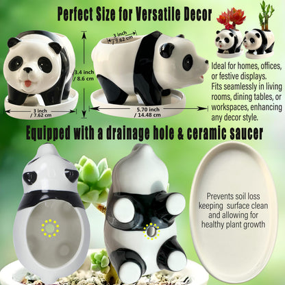 KEEPPACE 2PC Panda Bamboo Planter Pots-5.7‘‘ Ceramic Animal Planters | Succulent Pots & Drainage Tray-Lucky Bamboo Plant Pots Flower Pots Indoor-Air Plants-Cactus Planters-Garden Home Decor