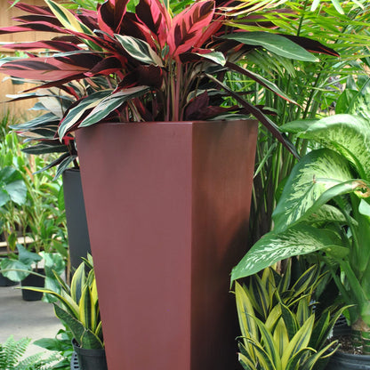 Tusco Products Cosmopolitan Tall Square Garden Planter, 32-Inch, Oxblood