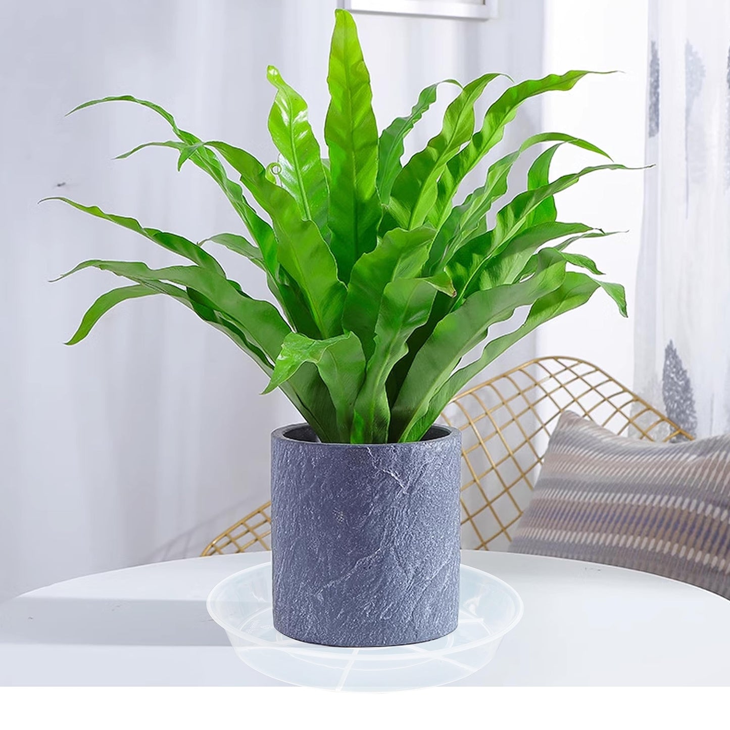 Afrine Plant Saucer 4 inch 6 Pack Drip Tray, 4 5 6 8 9 10 12 14 16 18 inch, Heavy Sturdy Plastic Planter Flower Pot Saucers for Indoor Outdoor Garden, Plant Water Drip Trays for pots Base (4", Clear)