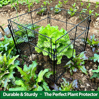 5 Pack Plant Protectors from Animals, 20Pcs 1" Mesh DIY Plant Cages 13.8"x13.8"x12", Metal Garden Animal Barrier with Stakes, Keep Rabbits & Chipmunks Out for Vegetables, Shrubs & New Plants