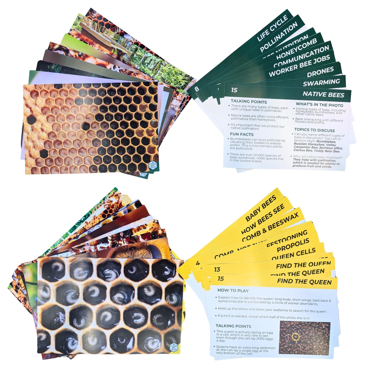 Educational Beekeeping Cards – 12x18 Oversized Beekeeping Flashcards for Teaching Bees and Beekeeping - Classroom and Workshop Learning Tool (Expansion Set - Laminated)