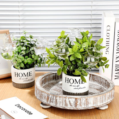 Yungyan 6 Pcs Self Watering Plant Globes Glass Insert Watering Devices Automatic Plant Water Bulbs Water Globes for Indoor Outdoor Plants(Clear Tulip,5.31 Inch)