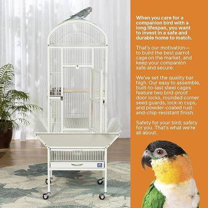 Prevue Pet Products Dome Top Bird Cage - Powder‑Coated Steel Cage with Wheels, Push Button Locks, Seed Guards and Perch, Ideal for Cockatiels, and All Small-Medium Sized Birds - Chalk White