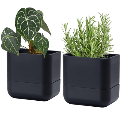 Phoenix Vine 6.5 Inch Wall Mounted Self-Watering Planter Pot for Indoor Houseplants and Herbs | Hanging Planter for Window Sills, Bathroom Walls, Home & Office Décor, Black, Set of 2, 01-C-E-2