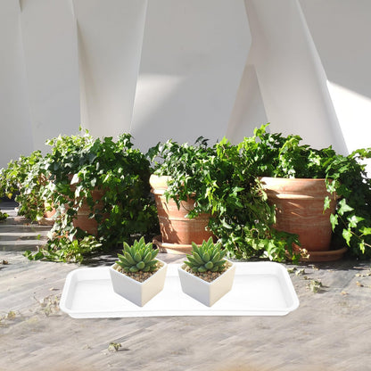 FAVOMOTO 10 Pack Plastic Rectangular Plant Drip Trays, Indoors Heavy Duty Sturdy Plant Saucer for Flower Pot Planter Windowsill Pot Seed Starting Growing Trays