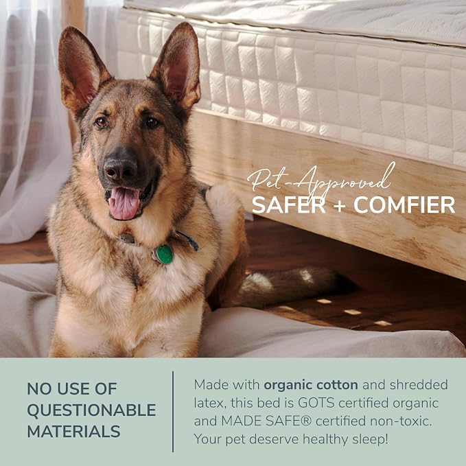 Naturepedic Organic Pet Bed Cover - Washable Waterproof Mattress Protector - Removable Cover for Dog and Cat Bed - Small