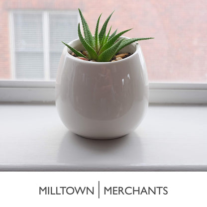 Milltown Merchants Succulent Wall Planters - Wall Vases - Black Ceramic Wall Mounted Planters - Succulent Plant Pots - Hanging Vases for Living Wall (2 Pack/Modern/White)