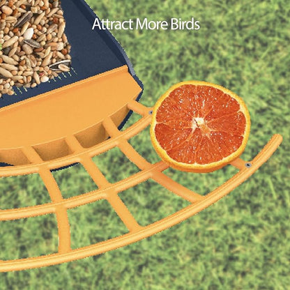 Birdkiss Smart Bird Feeder with Camera, AI Identify Bird Feeder Camera with Solar Pannel, Auto Capture Bird Full HD Videos & Instant Notification, Ideal Present for Bird Lovers