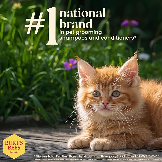 Burt's Bees for Pets Tearless Kitten Shampoo with Buttermilk and Honey, 99% Natural Origin Gentle Cat Shampoo for Sensitive and Itchy Skin, pH Balanced and Fragrance-Free, 10 Fl Oz - 2 Pack