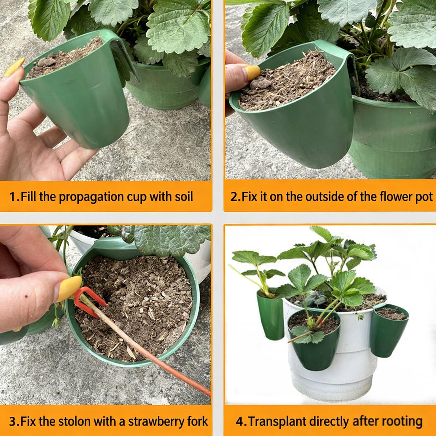 Tsophreniq Strawberry Propagation Cups, Breathable Strawberry Propagation Cup with Forks and Aeration Holes, Breathable Nursery Pots for Home Garden