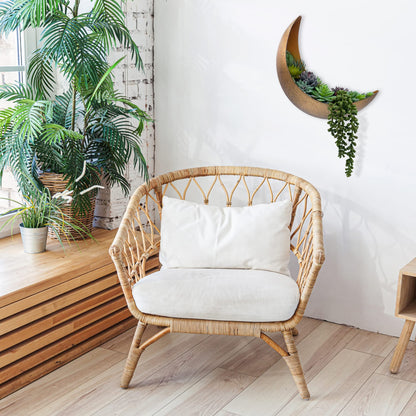 AERLO Moon Wall Planter - Hanging Moon Decor Perfect for Boho, Hippie, and Witchy Gifts for Women - Wall Planters for Indoor Plants and Outdoor Plants