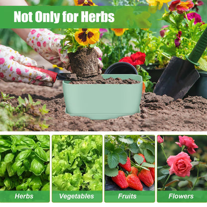 Oliz 4 Set Window Herb Planter Box Rectangular, Green Plastic Planters with Multiple Drainage Holes and Trays,Indoor Succulent Cactus Mint Flower Pot for Windowsill, Garden Balcony