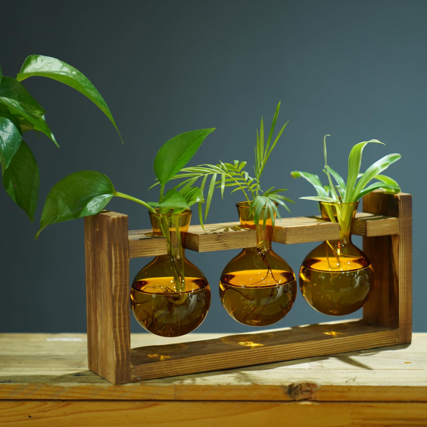 Kingbuy Plant Terrarium with Wooden Stand, Glass Planter Desktop Propagation 3 Bulb Vase Metal Holder Retro Rack for Hydropoincs Plants Home Office Decor, Brown