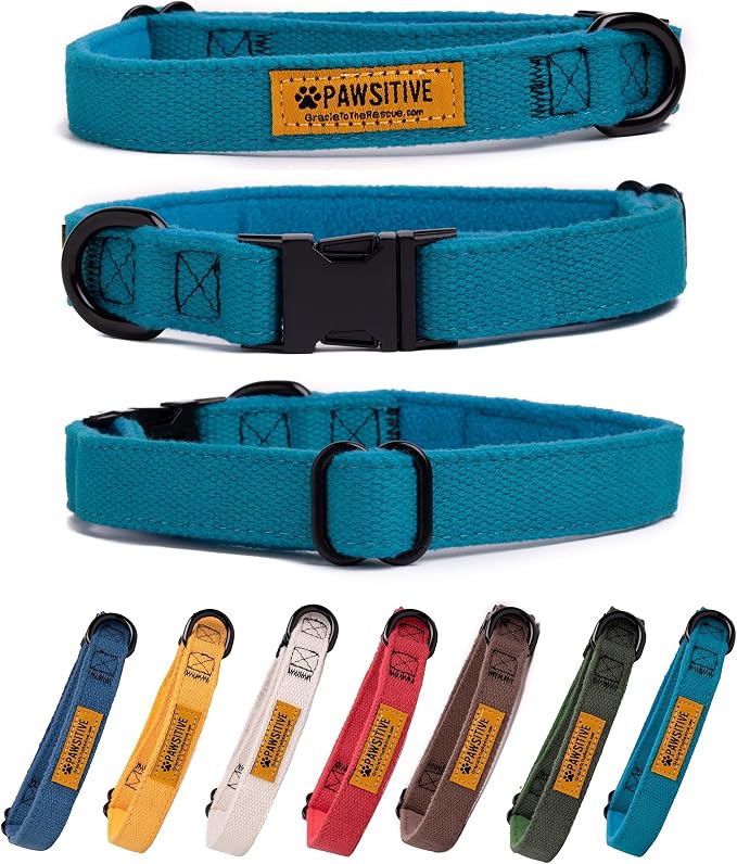Pawsitive Teal Dog Collar Hemp Dog Collar - Super Soft Hypoallergenic Lining. Great for Small, Medium and Large Dogs; Small Emerald Green