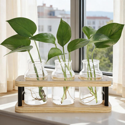 THYGIFTREE Plant Propagation Station with Wooden Stand, Propagation Vases Glass Planters for Indoor Plants Hydroponic Propagating Jars Home Office Decor, Plant Lover Gifts