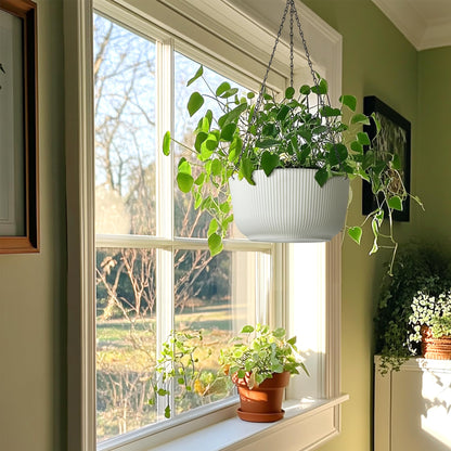 T4U 12 Inch Large Hanging Planters for Indoor Plants, 2 Pack Self Watering Pots Indoor, Hanging Baskets for Plants,Hanging Flower Pot with Drainage Hole and Plant Hanger, White