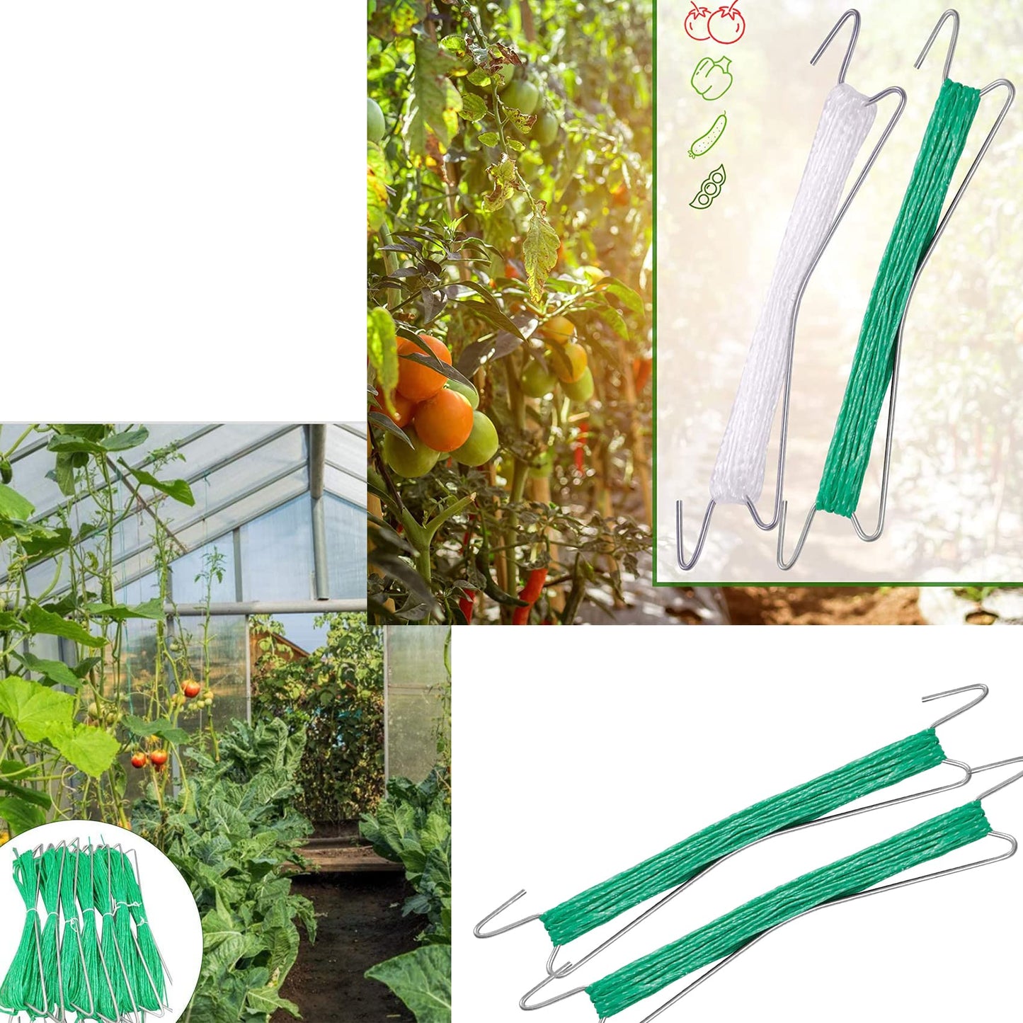 UCSAJI 10 PCS Tomato Support Hooks 10m Twine Vegetable Support Clips String Rope Plant Trellis for Climbing Plants Hooks to Prevent Tomatoes from Pinching or Falling Off (Green)