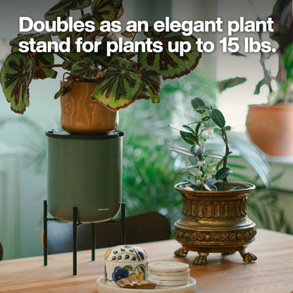 Fiskars LifeWell Watering System for Houseplants, Self-Watering Indoor Plant Stand with Siphon Action, Waters Up to 6 Plants, 33" Reach