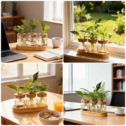 onepeng 3Pcs Propagation Stations, Plant Terrarium with Lid and Wooden Stand,Desktop Glass Planter Hydroponics Vase,Home Office Living Room Decor Gifts