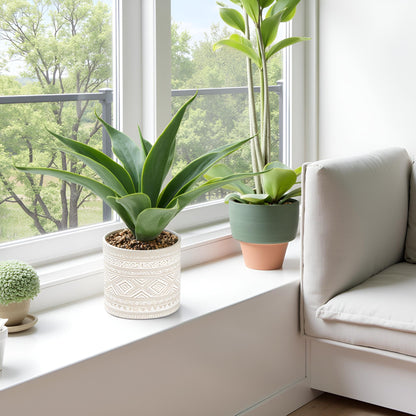 Hisow Artificial Potted Plants, 13.8" Artificial Succulent Fake Aloe, Large Faux Aloe Plant in Pot for Home Office Room Bedroom Kitchen Garden Decor (Grey)