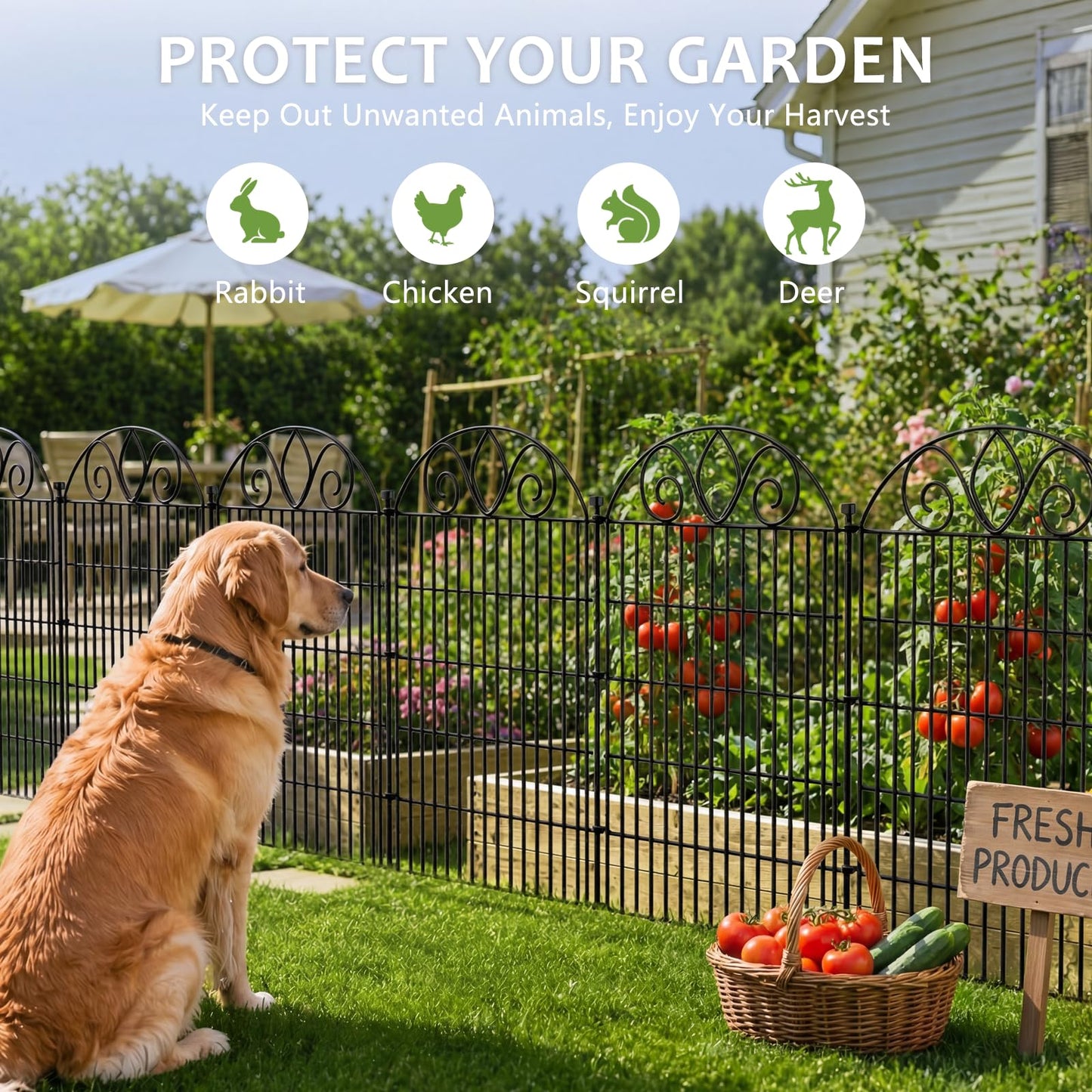 10-Panel No-Dig Tall Garden Fence – 34″H x 22′L Rustproof Metal Dog Fence, Decorative Yard & Garden Animal Barrier, Easy Install Outdoor Pet & Flower Bed Border, Temporary Fence