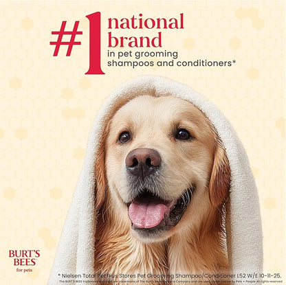 BURT'S BEES FOR PETS Deodorizing Spray for Dogs, Manuka Honey & Charcoal, Reduces Odor Between Baths, 95%+ Natural Origin, No Artificial Fragrance, Sulfates or Colorants, Milk & Honey Scent, 10 Fl Oz