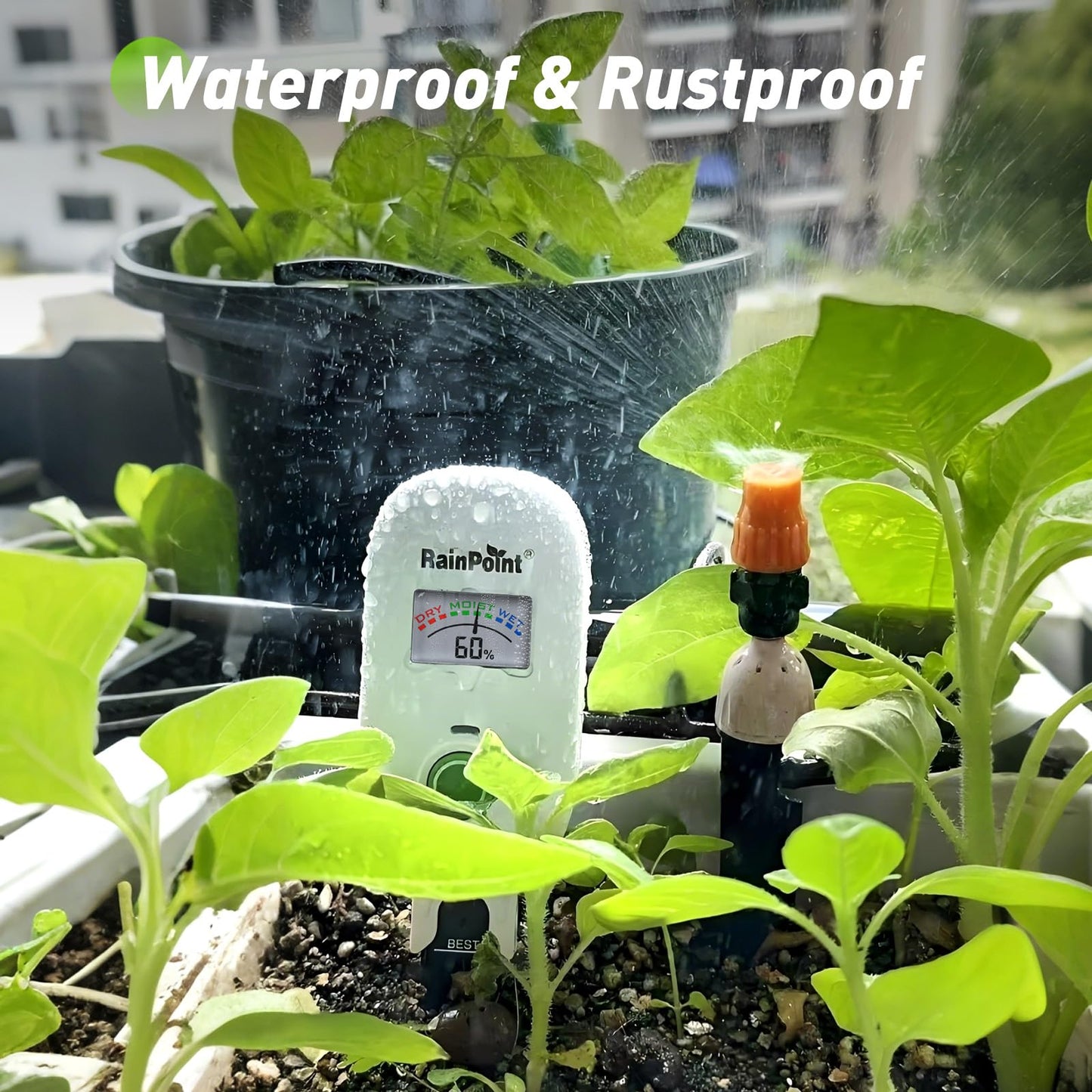 [2026 Version]RAINPOINT Visual Gauge Digital Smart Wireless Plant Moisture Meter,WiFi Hub Needed,Indoor & Outdoor Use,Capacitive Leave-in Soil Hygrometer Sensor Garden House Plant Care Must Haves