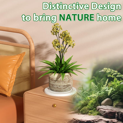 Creproly Plant Saucer Flower Pot Saucers Plant Trays for Pots Instant Dry Diatomaceous Earth Round Plant Drip Trays for Indoors Keeping Counter and Floors Dry and Clean (2pcs White Medium)