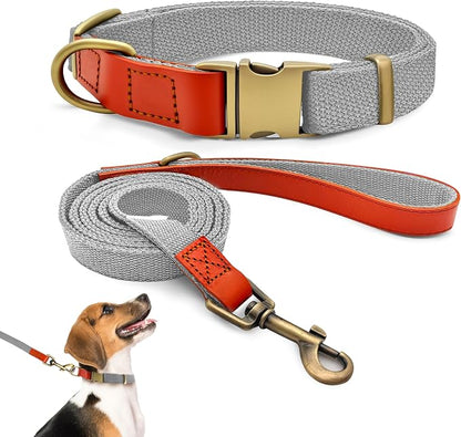 Dog Collar and Leash Set with Metal Quick Release Buckle, Adjustable, Breathable Nylon, Durable, Soft and Comfortable, No Pull for Walking and Training, Silver-Gray, M (12.6"-19.6")