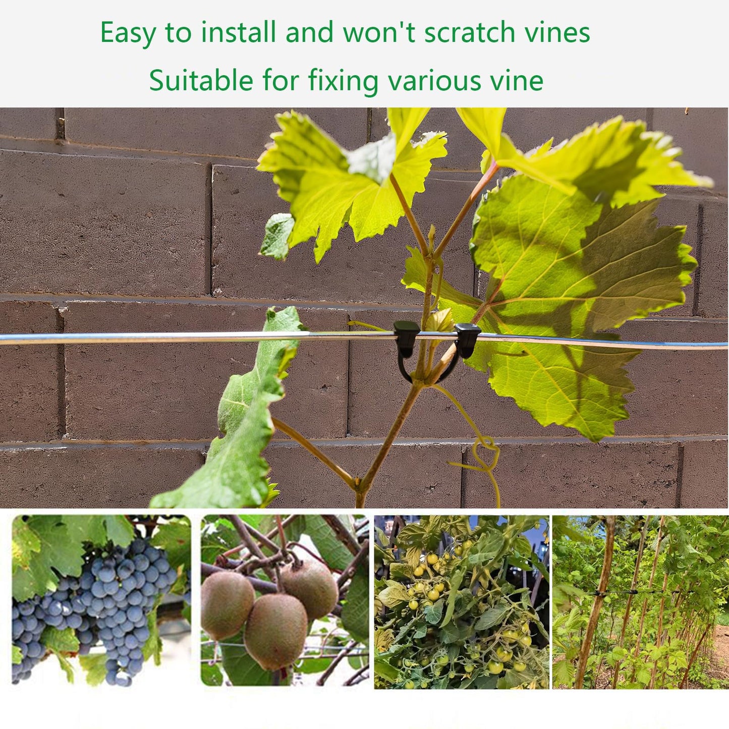 Plastic Vines ClipTomato, Grape, Raspberry, Kiwi Vine Clip Garden Plant Support Clip Vegetable Fixed Hook Plant Lock Tomato, Grape, Raspberry, Kiwi Vine Buckle Suitable for 9#-12# Thread(200 PCS)