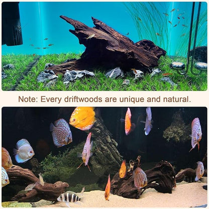 LYPHARD AQUARIUMS Natural Driftwood for Aquarium, 9-14" Large Assorted Branch Pieces Decorations for Reptile Hide, Fish Tank