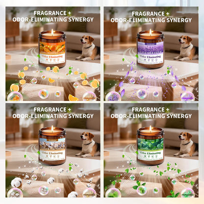 4 Pack Odor Eliminating Candles Set - Eliminates 95% of Pet, Smoke, Food & Other Smells - Hand Poured Non-Toxic Soy Candle, Air Freshing Scent of Lavender/Orange/Mint/Cotton - Gifts Set for Women