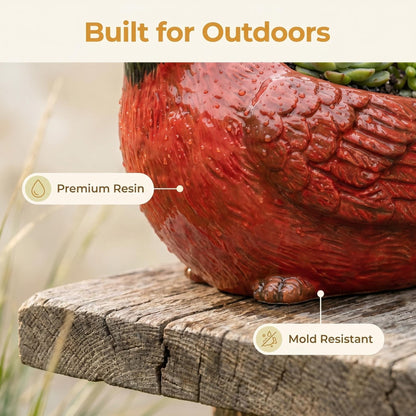 Red Bird Shaped Succulent Planter, Red Resin Bird Flower Pot Decorative Indoor Outdoor Plant Pot for Succulents, Cute Animal Plant Pot Garden Desk Decor, Unique Gift for Bird Lovers (A)
