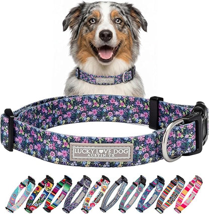 Lucky Love Dog Martingale Dog Collar - Adjustable, No-Slip, Durable, & Soft Webbing Collar for Male and Female Dogs Ideal for Training & Walking - Primrose, Medium