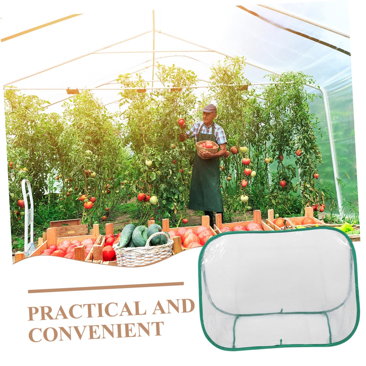 BAZEITFLOW Mini Garden Greenhouse Portable Foldable Plant Care Tent for and Small Plants Design for Spaces Weather-Resistant Growth Chamber for Use