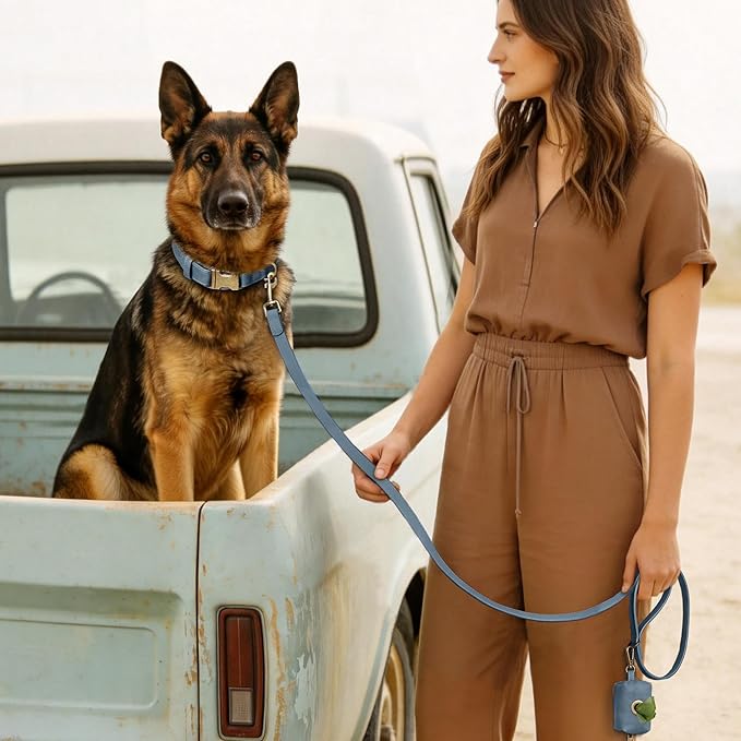 Didog Soft PU Leather Dog Collar, Stylish Quick Released Dog Collars for Large Dogs, Easy Clean Adjustable Pet Collar for Daily Walking, Blue, XL Fit 20-26" Neck
